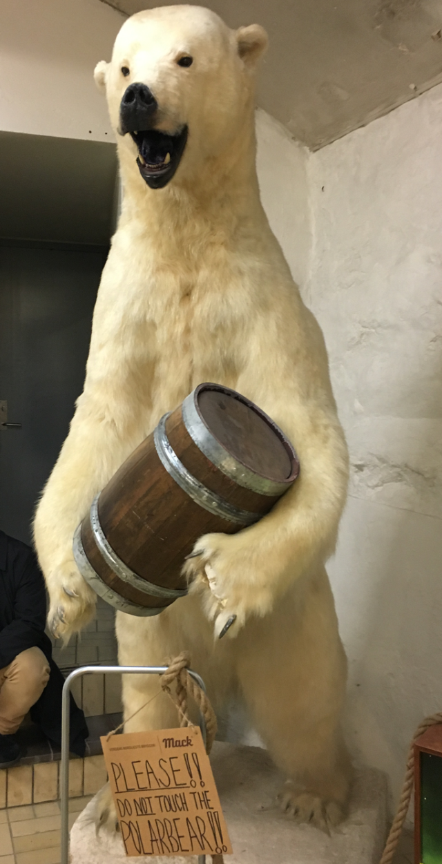 polar bear mack brewery